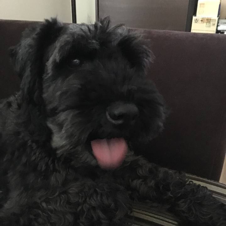 360f96c3 3a65 4b53 934d bf36b94e115b