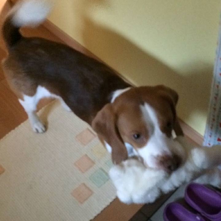 360fa712 934c 4bd3 9659 80df1090afec