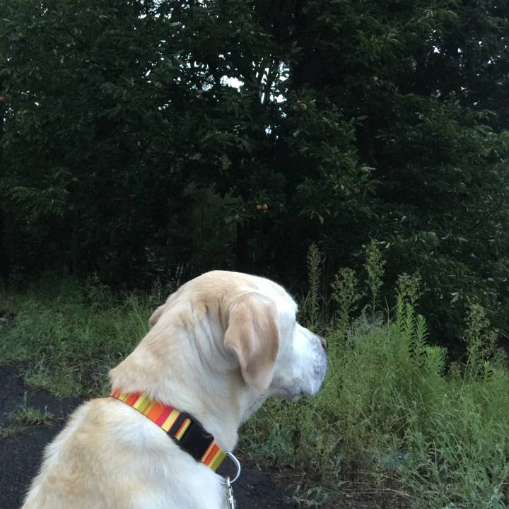 36104af6 9a1f 4644 9565 3e4082eb5d97