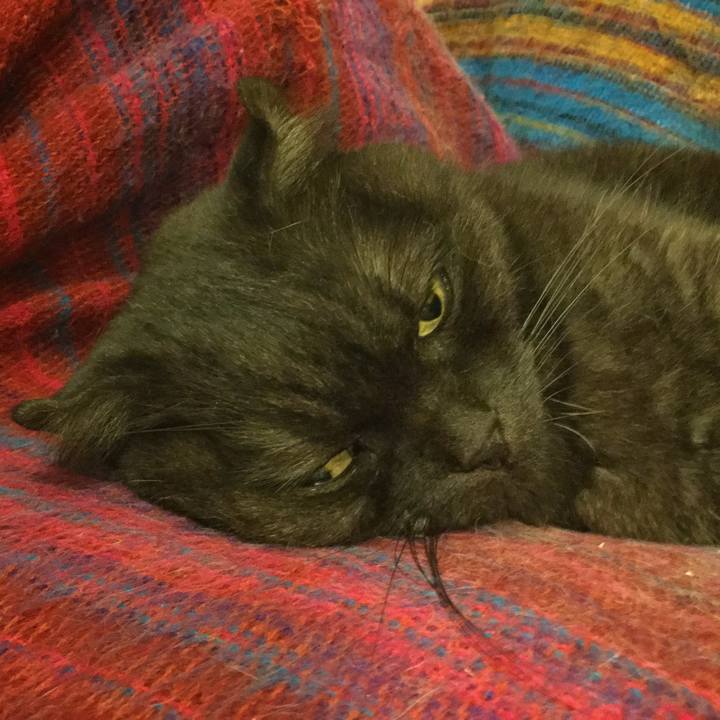 36105162 5a0c 4368 a11c 0d207ab8b764