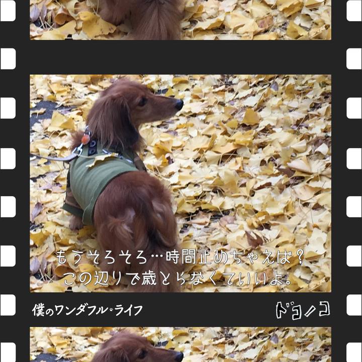 36105e7b 5ed6 43b7 a312 888c0afc5a72