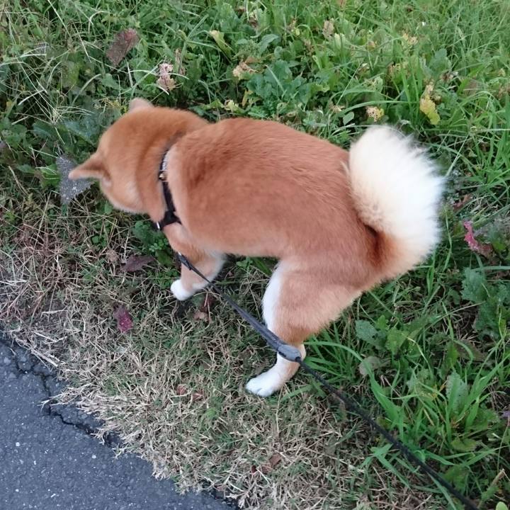 36106e75 e75b 4d62 ab56 7992d80294f7