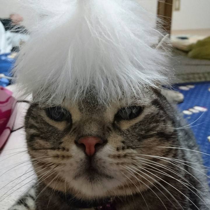 36107a27 6ad3 45e9 a554 2e0e8ad2120e