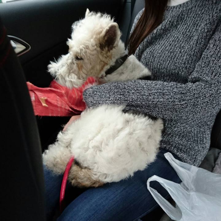 36111ebd 735e 4e95 8df3 bd806616b2c2