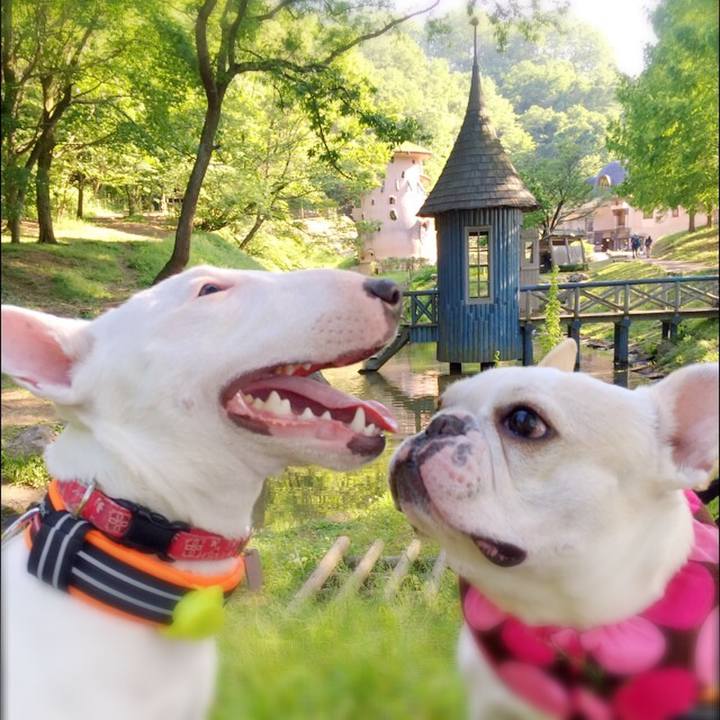 36121690 e4fa 4240 a4d8 8f865b6d9a64