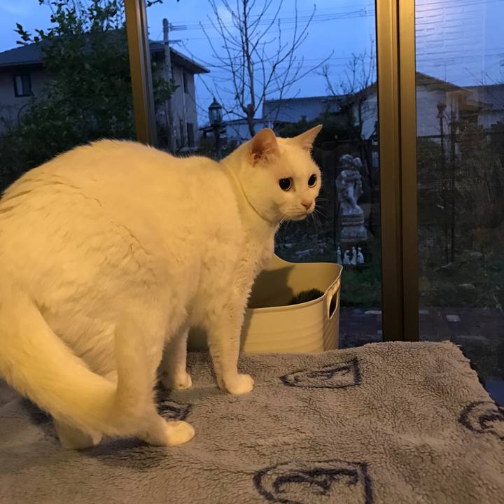 3612493b 7c3c 448c 893f 0ebe7d1f9824