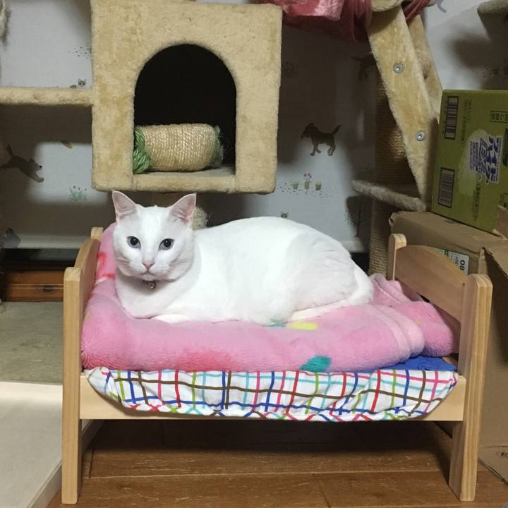 36132485 622e 42d8 b0b5 406ac10a8cb5