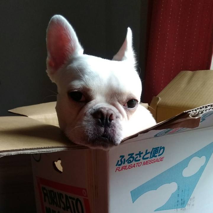 36137bf8 a066 47cc 8b03 4e5b18791a07