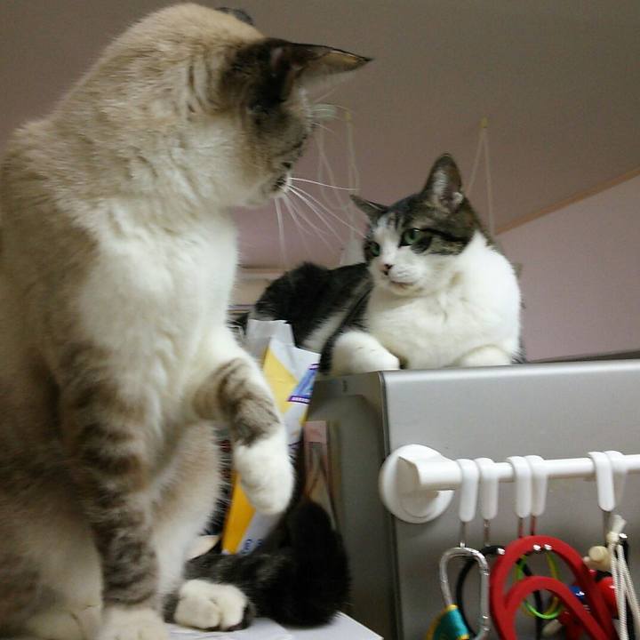 3613dd9f bcf3 4a7e b7d6 adc77266acbf