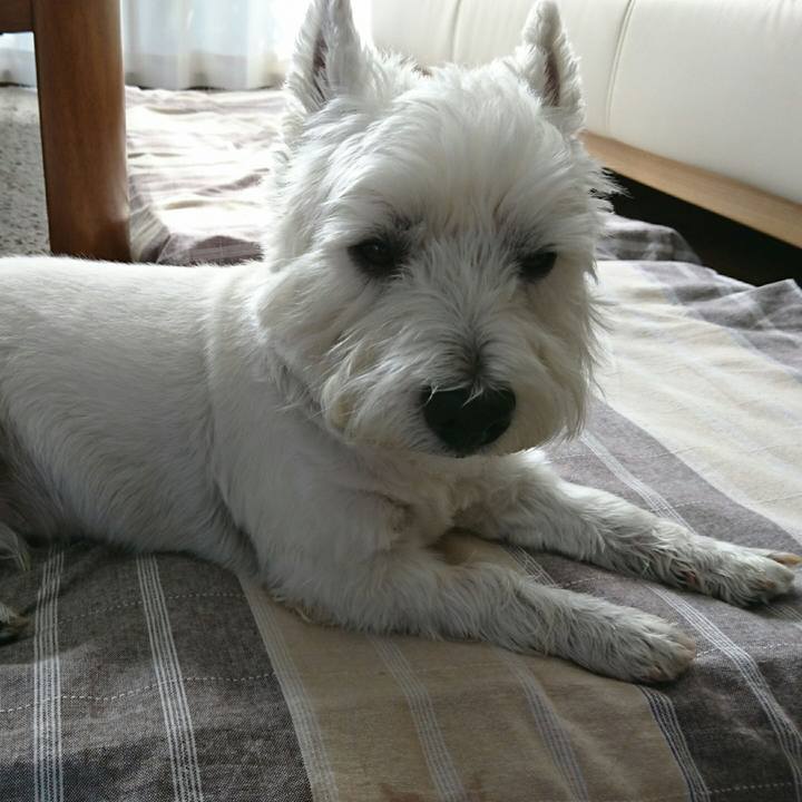 3614d86e d85b 417b 8bb1 bd9f3c2a79fd