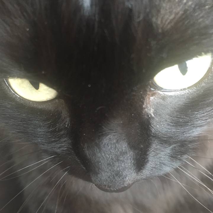 3616c9b0 5f94 4b34 bbaa 2ac467bcf069