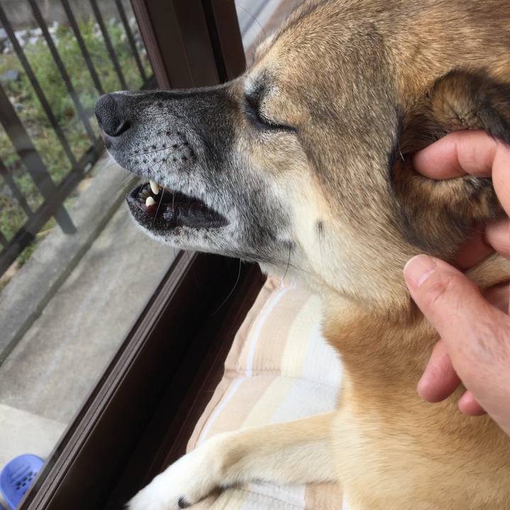 3617197d 226d 4fb7 9e68 b5ae7b738dbd