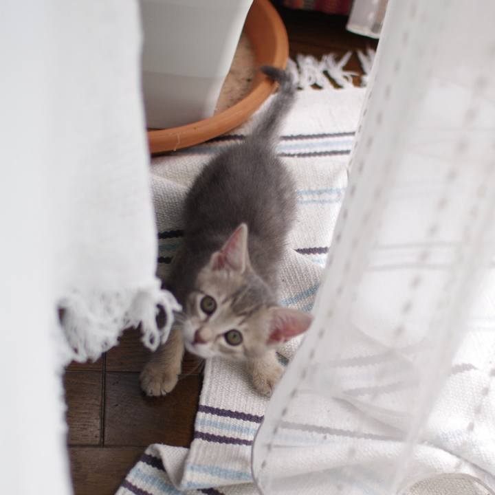 361773a4 3757 4de4 a57e 1e20f7e672c2