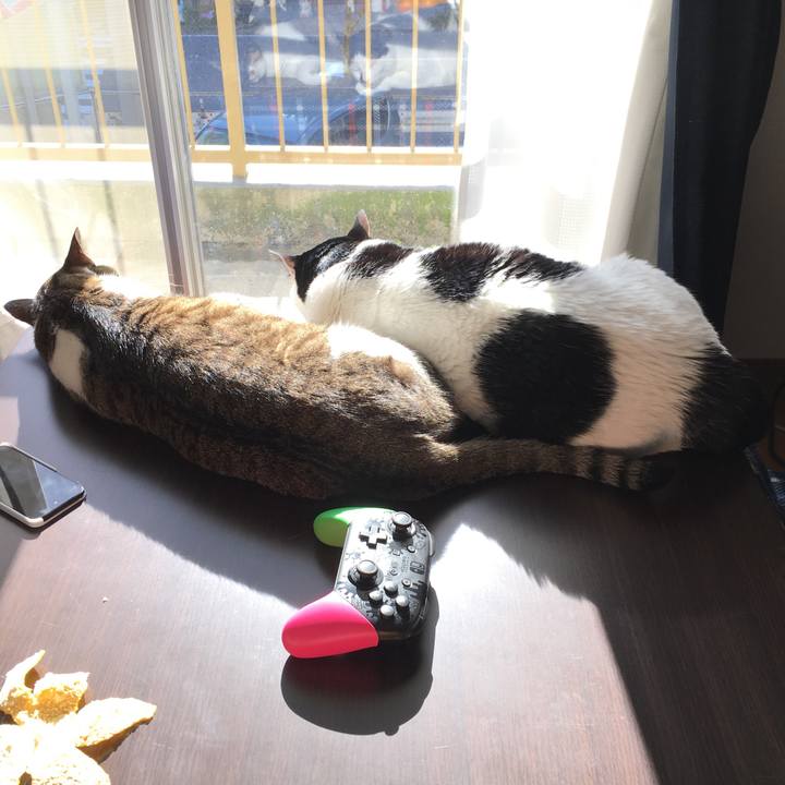 36177aa9 7917 49ee 8399 75dd401eaa24