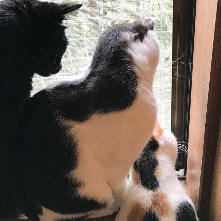 3617f6da cfb8 477e 9192 31765b5173ef