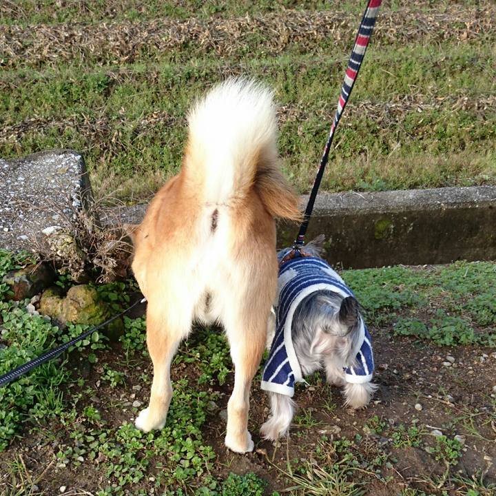 3618399b e488 4850 8a8a f5eb4cbd7940