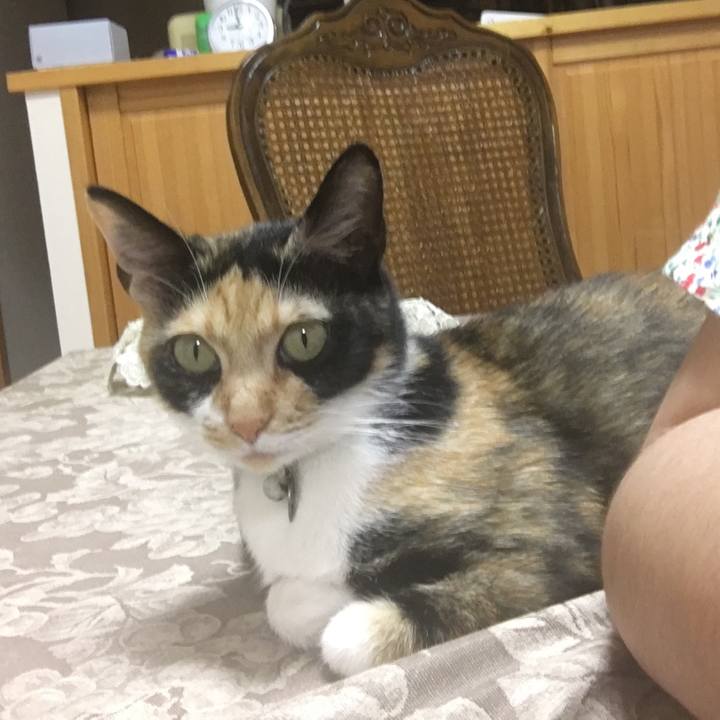 3618de65 375c 41cd 80f1 edc829fa4135