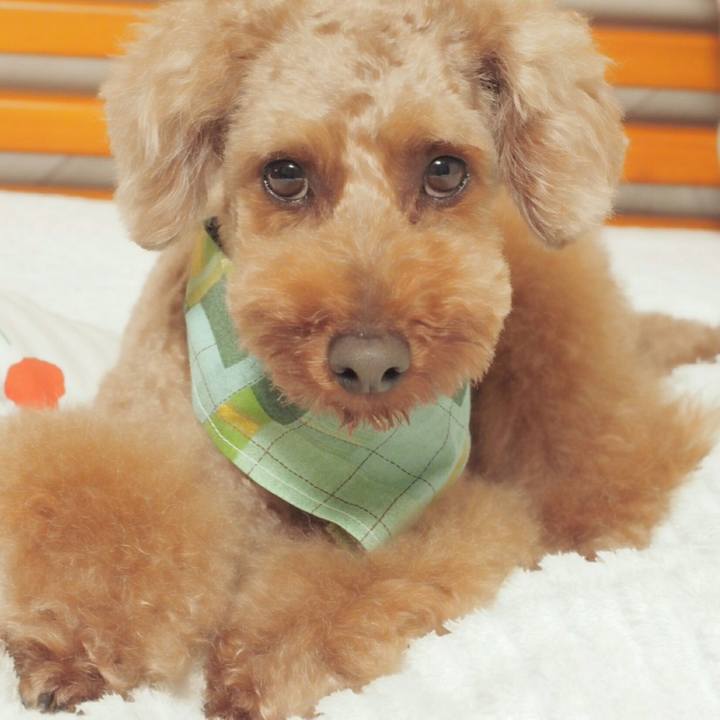 36192d6c d132 4001 b6b0 6529af22a41e