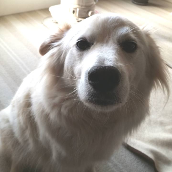 3619951d 58b1 414d ba3b ef395f15d345