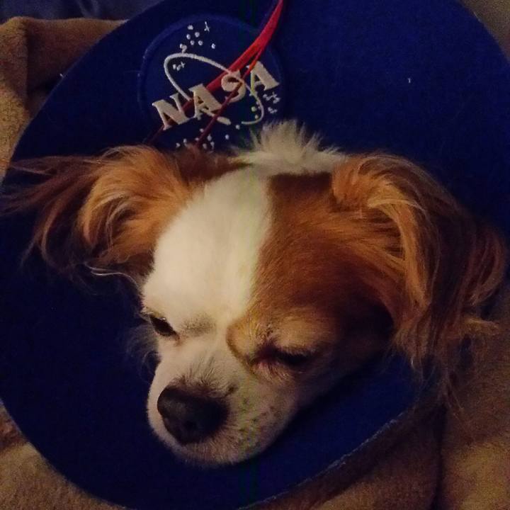 3619e04b 69d1 48e2 bb14 982323d6a8af