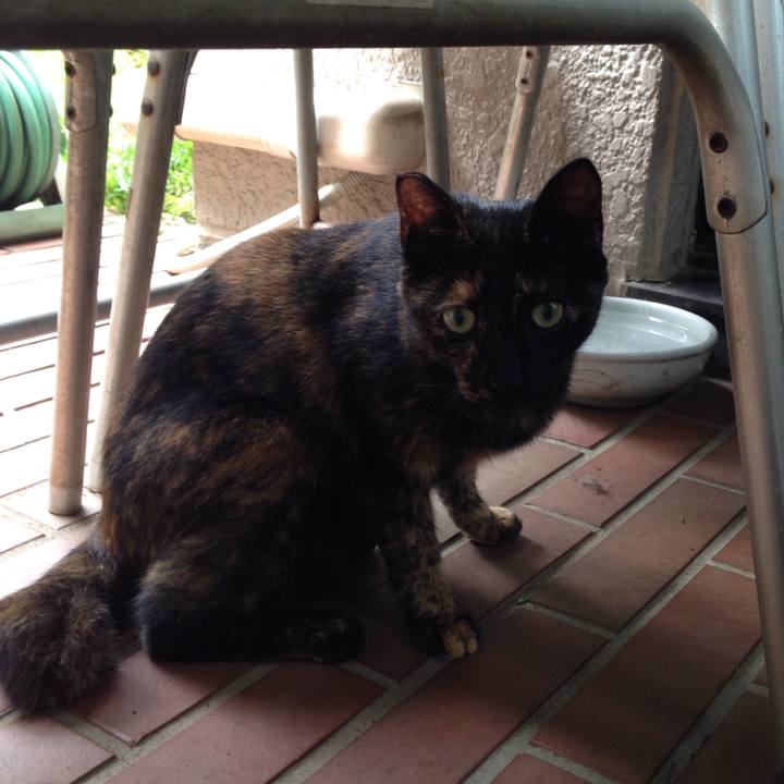 361a75f4 2607 44d1 b0d3 72032e3dc5a3