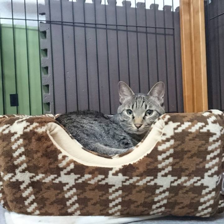 361aa0bb 751d 41ec bbca dc1501e5c543