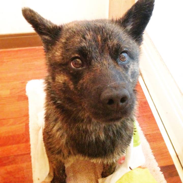 361b1983 42d1 4fe7 a512 917ebf55edfe