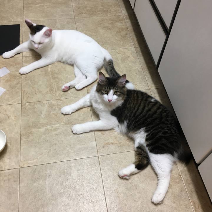 361b22be c062 491e aa59 c12d6134d2b6