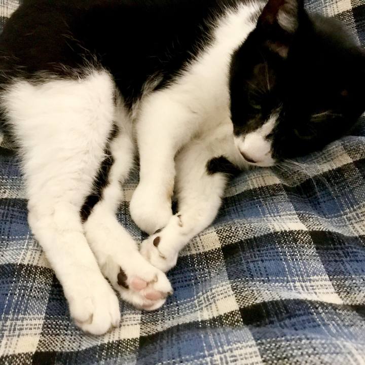 361b5490 e5a6 4757 b857 ebd44c50f7af