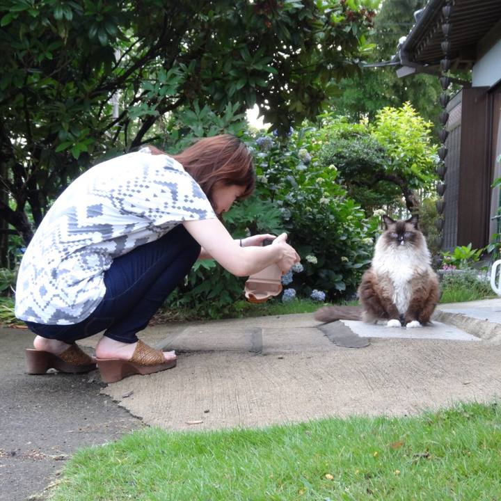 361b90dc d28a 4c7a 9398 9d446559aad8