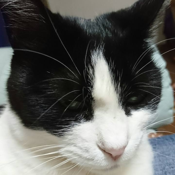 361bc6c8 be02 40e6 a1db 36843566cb97