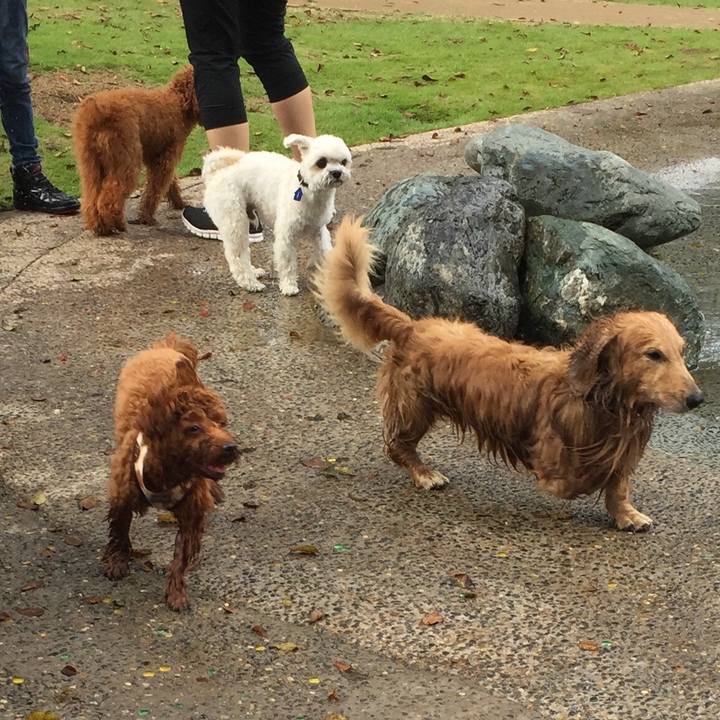 361c6e31 1a18 468b 8bf4 0705e5be9ee2