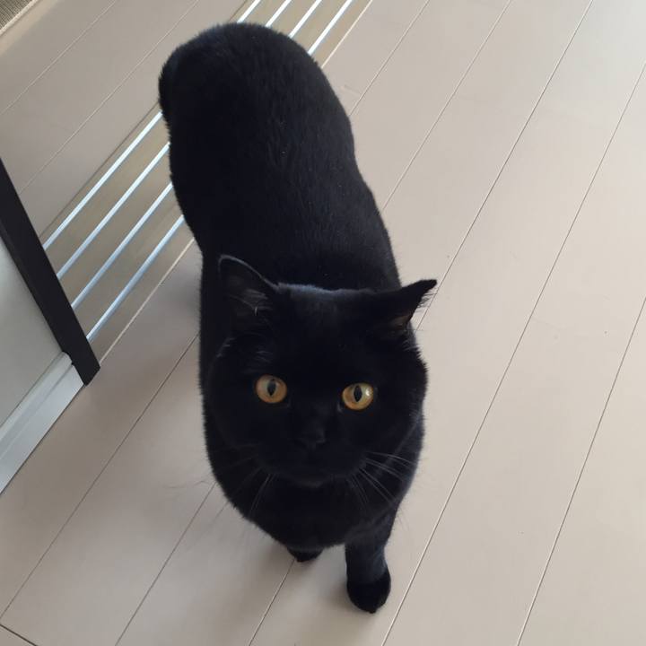 361cbefd cc3d 4df6 a02b 1e533bfb5a7e