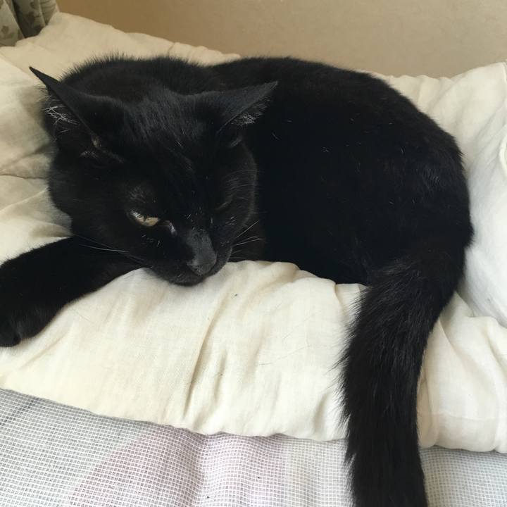 361cd565 710f 4068 9beb c33b97f8fcc0