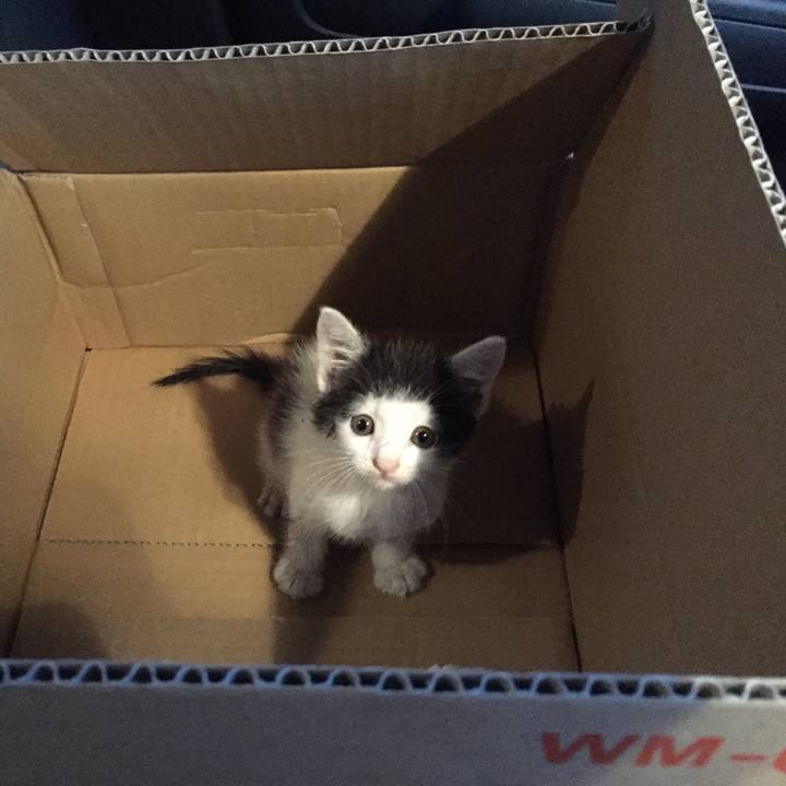 361d1f06 ce08 464c b7b9 9f9bbbd1915a