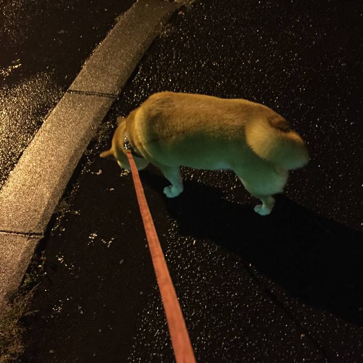 361e0f45 2b4d 409a 8b62 7efac4767458