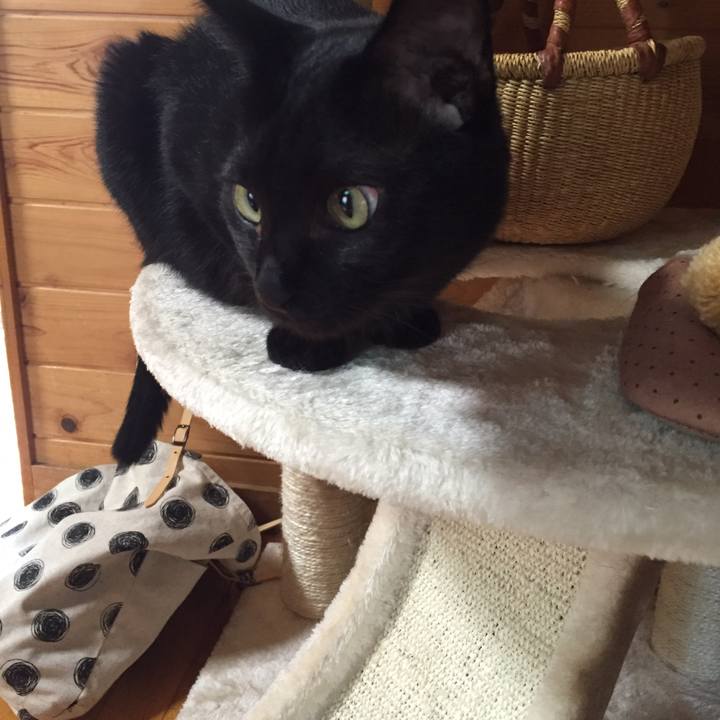 361e5fab 8c5e 4e7b 83f0 821d1a56a4e2