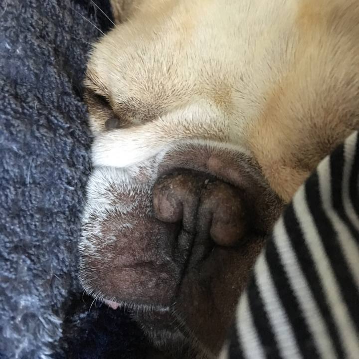 361ff3cd 9111 450a 9829 ea7040c5a065