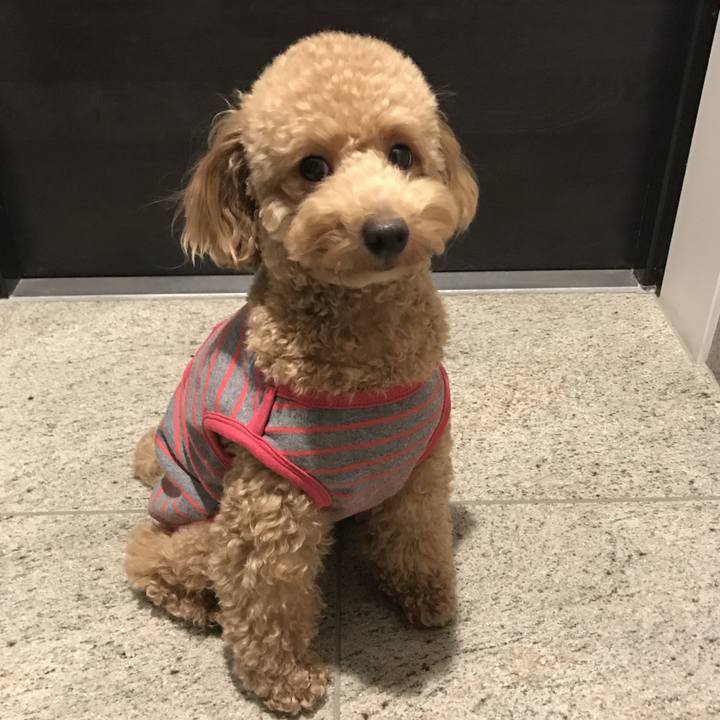 3620aaff 6845 4d88 b929 c4a064b05040