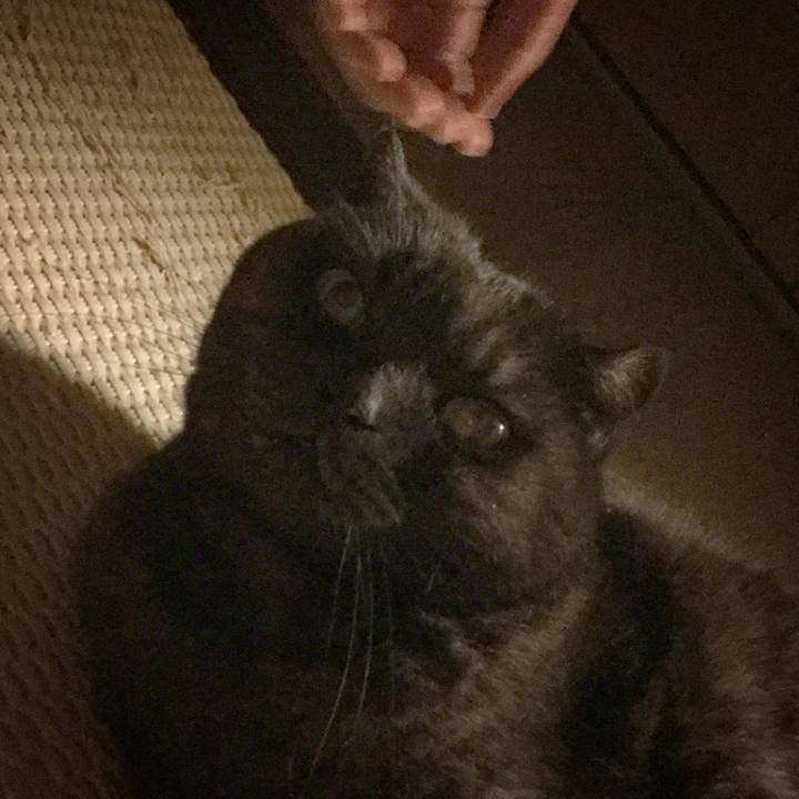 3620b2b1 50f8 448e a2f2 a9a071d3ea27