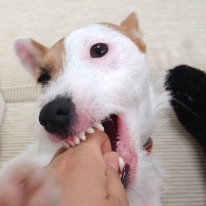 362185f2 9855 43d0 90d1 ebf2b7e1f145