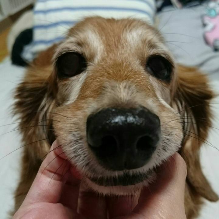 3622cc10 a3c7 4a59 a25d 0e91c550c467