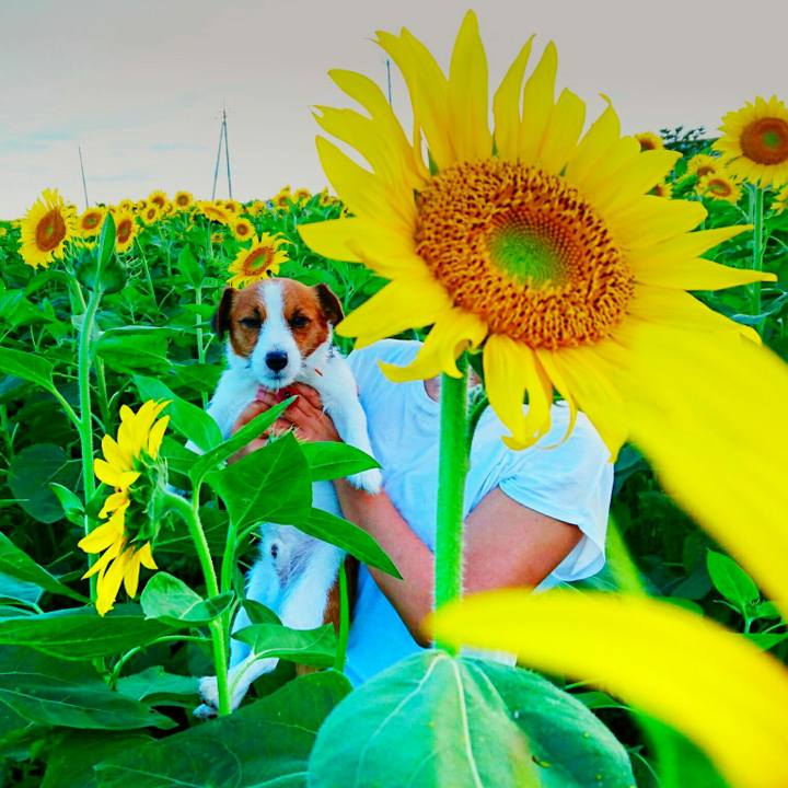 36230bcc 6477 401e a693 9803c75bcab5