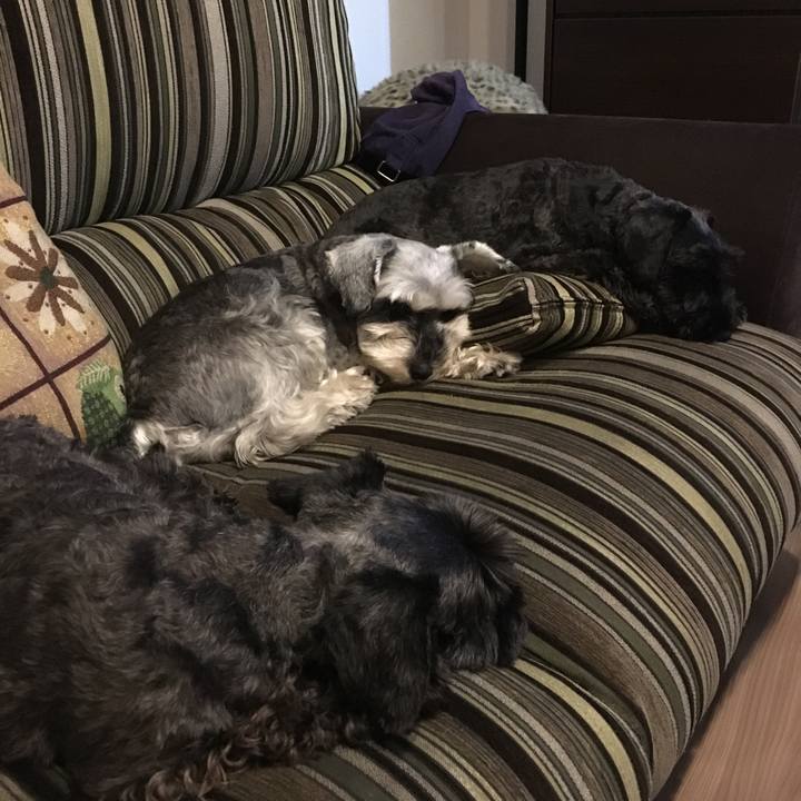 3623aa7a b6df 4c19 a0df 04614787ec11