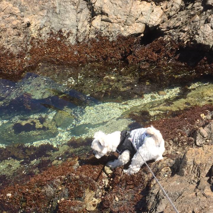 3623c3b7 5431 420a 8607 f4423a07e573