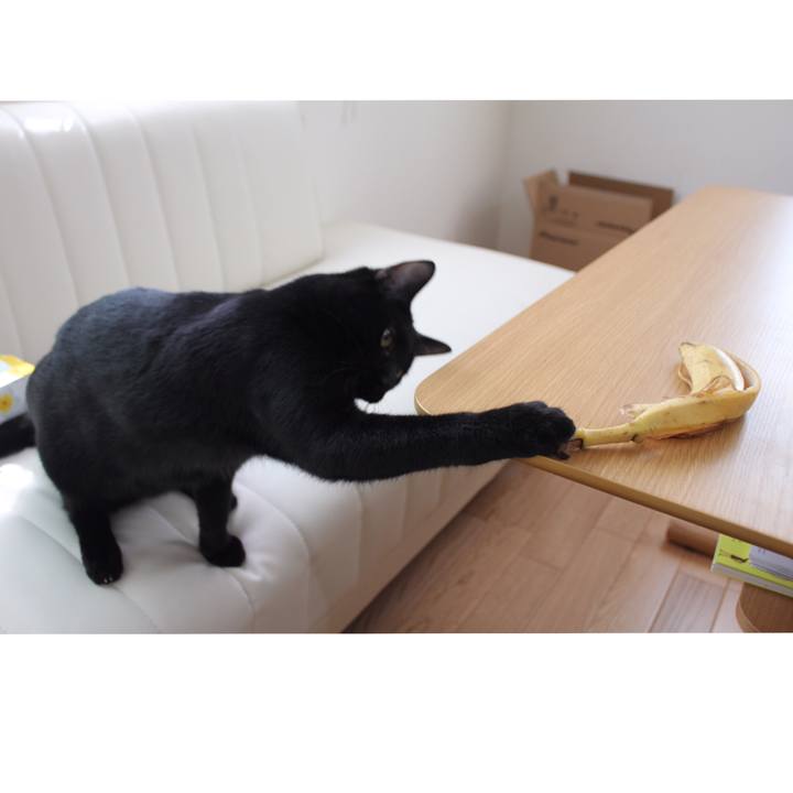 3623c3dd ac0e 4a1a 919d a62b5d6d5e42