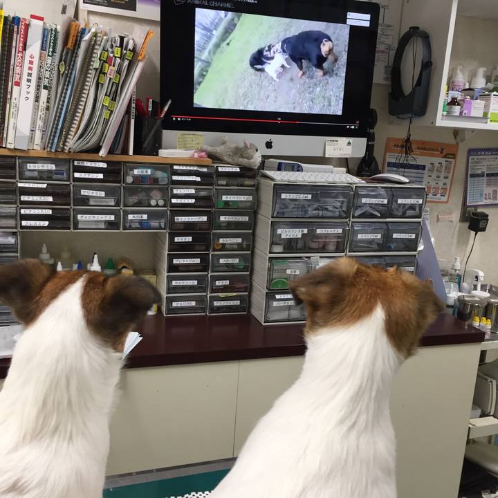 36244cb1 07db 4bf0 92cb b315d38d53c8