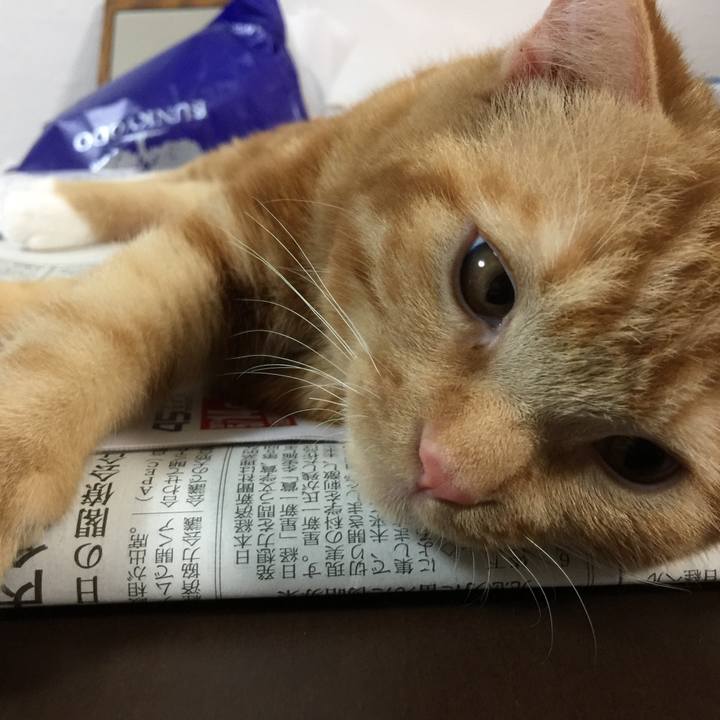 36249e0f 29bb 4873 9617 3b1542be5ba4