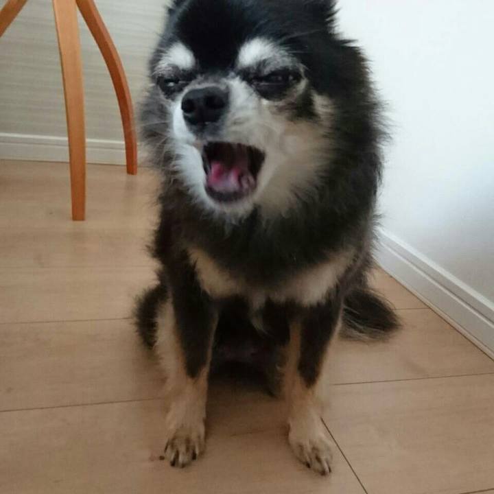 36256ee5 1874 4854 99a1 267812e1797f