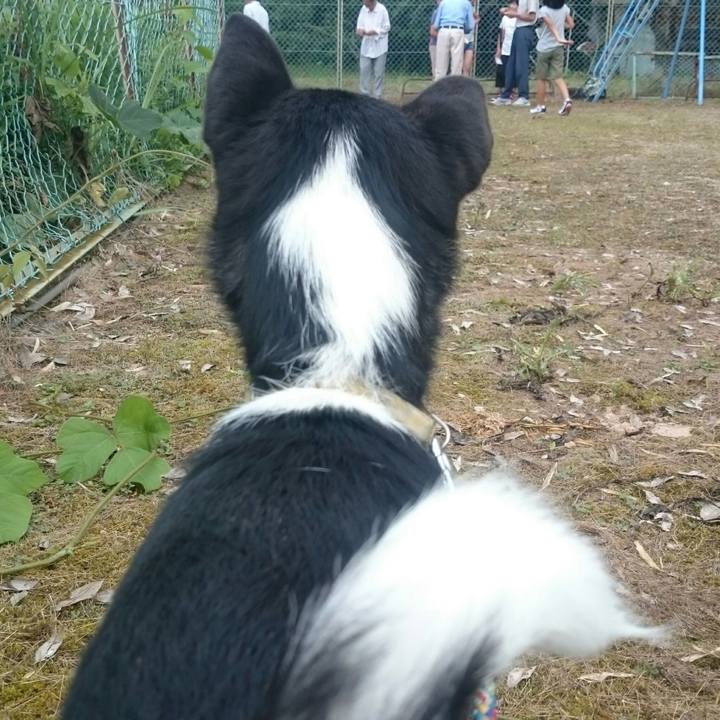 36257026 7385 45e7 a56e 37cbb84c4e8c